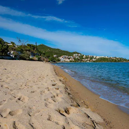 My Wabi PalaiónTsiflíkion